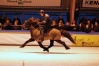 2009 · Siggi met Eilimi Europees Kampioen Horses on Ice speedpace